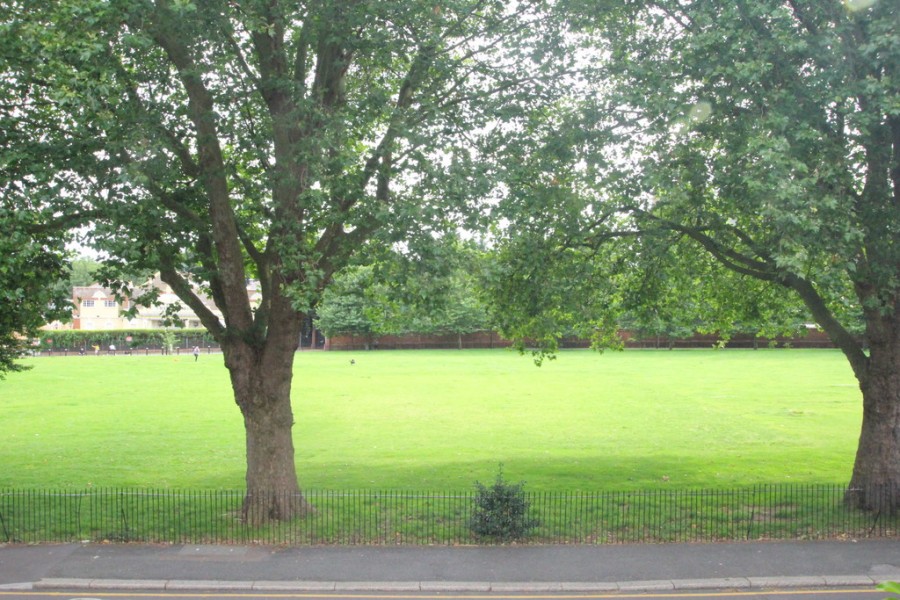 Images for Station Road, Alexandra Palace EAID:a715bec80fa7dfbe68cbc907ead71bf4 BID:1
